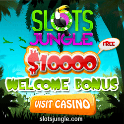 Slots Jungle US RTG Online Casino King Of The Jungle Bonuses
